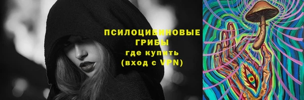 спиды Белокуриха