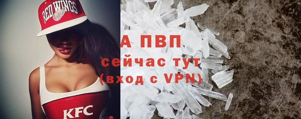 спиды Белокуриха